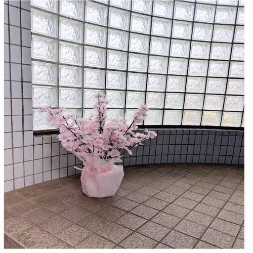 ���ԁ@�@���|�b�g�@�{�����E�����_�@��ʎ󒍉@�X�ܑ����@�C�x���g���@�p�`���R�X�l�p�@�V���b�s���O���[���@�y2�ȏエ�����グ�y���������z_2