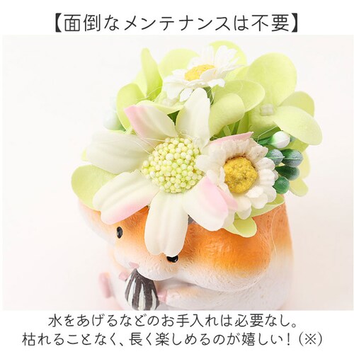 �\�[�v�t�����[ ���W���|�b�g �A�j�}�� �ʔ� �t�����[�M�t�g �� �t�����[ ���� �A�����W�����g �\�[�v �A�����W ���킢�� ���� �M�t�g ���蕨 ������ �~�j ���� �L���[�g �A�j�}���^ �����O�b_4