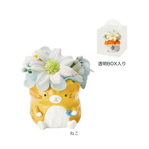 �\�[�v�t�����[ ���W���|�b�g �A�j�}�� �ʔ� �t�����[�M�t�g �� �t�����[ ���� �A�����W�����g �\�[�v �A�����W ���킢�� ���� �M�t�g ���蕨 ������ �~�j ���� �L���[�g �A�j�}���^ �����O�b_10