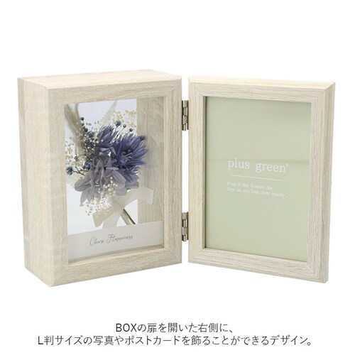 plus green �v���X �O���[�� �t�H�g�t���[�� �ʔ� �h���C�t�����[ �ʐ^���� �v���U�[�u�h�t�����[ �� �t���[�� �ʐ^ �a���� �����j�� ���킢�� ������� �C���e���A ���蕨 �M�t�g ���j_2