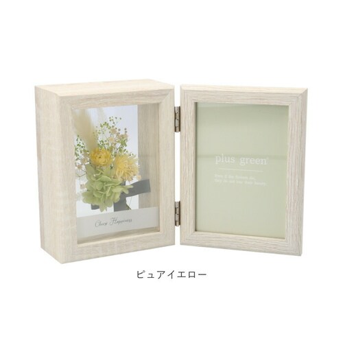 plus green �v���X �O���[�� �t�H�g�t���[�� �ʔ� �h���C�t�����[ �ʐ^���� �v���U�[�u�h�t�����[ �� �t���[�� �ʐ^ �a���� �����j�� ���킢�� ������� �C���e���A ���蕨 �M�t�g ���j_10