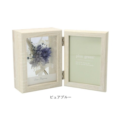 plus green �v���X �O���[�� �t�H�g�t���[�� �ʔ� �h���C�t�����[ �ʐ^���� �v���U�[�u�h�t�����[ �� �t���[�� �ʐ^ �a���� �����j�� ���킢�� ������� �C���e���A ���蕨 �M�t�g ���j_11