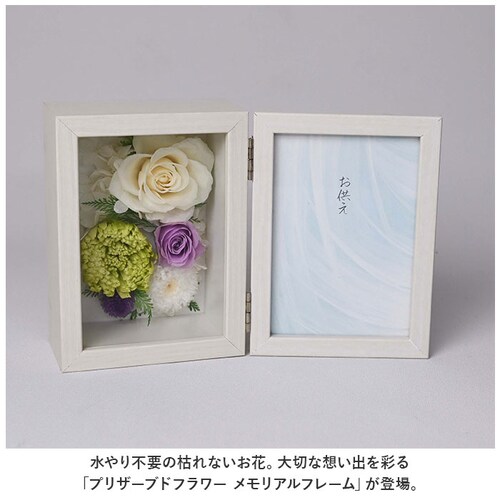 �v���U�[�u�h�t�����[ ���� �ʔ� �ʐ^���� ������ �������A���t�����[ �{�b�N�X �M�t�g ��e �z�� �t�����[ �A�����W�����g �� �������� ���� ����� ���d�p �����d �@�� �@�v ���ފ� �������_1