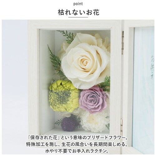 �v���U�[�u�h�t�����[ ���� �ʔ� �ʐ^���� ������ �������A���t�����[ �{�b�N�X �M�t�g ��e �z�� �t�����[ �A�����W�����g �� �������� ���� ����� ���d�p �����d �@�� �@�v ���ފ� �������_2