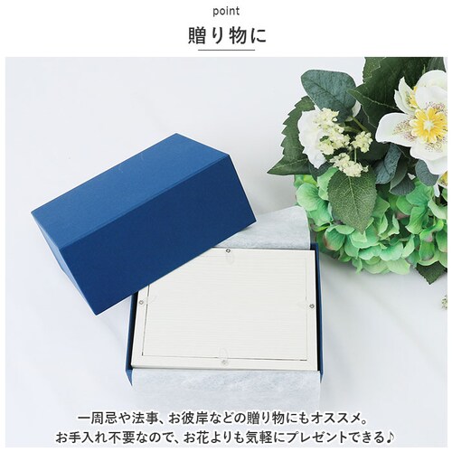 �v���U�[�u�h�t�����[ ���� �ʔ� �ʐ^���� ������ �������A���t�����[ �{�b�N�X �M�t�g ��e �z�� �t�����[ �A�����W�����g �� �������� ���� ����� ���d�p �����d �@�� �@�v ���ފ� �������_7