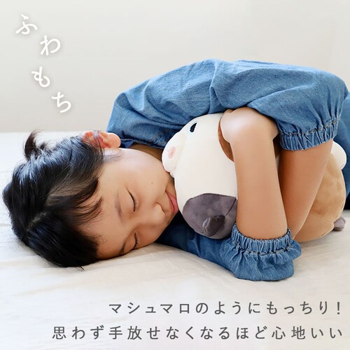 ������ �ʂ������ �˂ނ˂ރA�j�}���Y �ʔ� �l���l���v���~�A�� �}�V���}���A�j�}�� �{���X�^�[ �~�j�T�C�Y nemunemu �N�b�V���� �����܂��� �_�炩�� �S�n�悢 �S�n�ǂ� �������� ���� ��_1