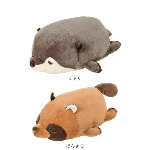 ������ �ʂ������ �˂ނ˂ރA�j�}���Y �ʔ� �l���l���v���~�A�� �}�V���}���A�j�}�� �{���X�^�[ �~�j�T�C�Y nemunemu �N�b�V���� �����܂��� �_�炩�� �S�n�悢 �S�n�ǂ� �������� ���� ��_14