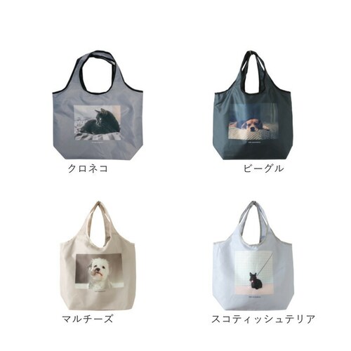 �G�R�o�b�O ������� �܂肽���� �ʔ� �ۗ� �ۉ� �g�[�g�o�b�O �G�R�o�b�N �T�u�o�b�O �V���b�s���O�o�b�O �R���p�N�g �t�@�X�i�[ �o�b�O �W�b�p�[ �`���b�N �܂��� �}�`�L �}�`�t�� �A�j�}���v_16