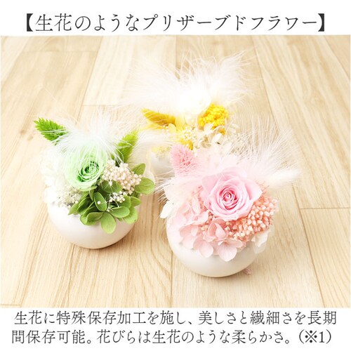 �u���U�[�h�t����- �ʔ� �t�����[�A�����W�����g �t�����[�M�t�g ���� �� ���킢�� ������� �����j�� �V�z�j�� ���� ���r���O ���ʏ� �g�C�� �t�����[ ���z���j�� �ސE �ސE�j�� �C���e���A_2