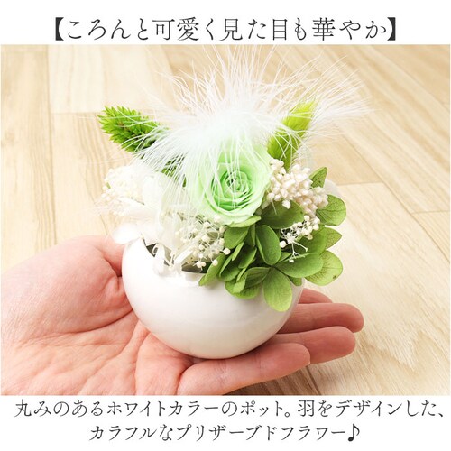 �u���U�[�h�t����- �ʔ� �t�����[�A�����W�����g �t�����[�M�t�g ���� �� ���킢�� ������� �����j�� �V�z�j�� ���� ���r���O ���ʏ� �g�C�� �t�����[ ���z���j�� �ސE �ސE�j�� �C���e���A_3