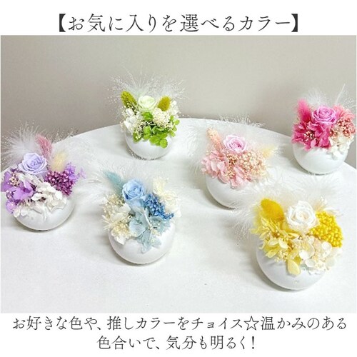 �u���U�[�h�t����- �ʔ� �t�����[�A�����W�����g �t�����[�M�t�g ���� �� ���킢�� ������� �����j�� �V�z�j�� ���� ���r���O ���ʏ� �g�C�� �t�����[ ���z���j�� �ސE �ސE�j�� �C���e���A_5