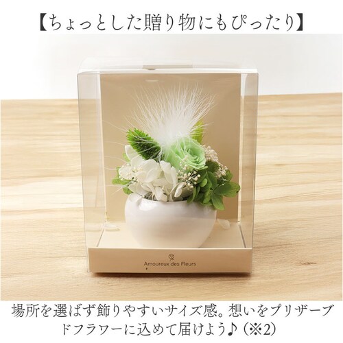 �u���U�[�h�t����- �ʔ� �t�����[�A�����W�����g �t�����[�M�t�g ���� �� ���킢�� ������� �����j�� �V�z�j�� ���� ���r���O ���ʏ� �g�C�� �t�����[ ���z���j�� �ސE �ސE�j�� �C���e���A_6