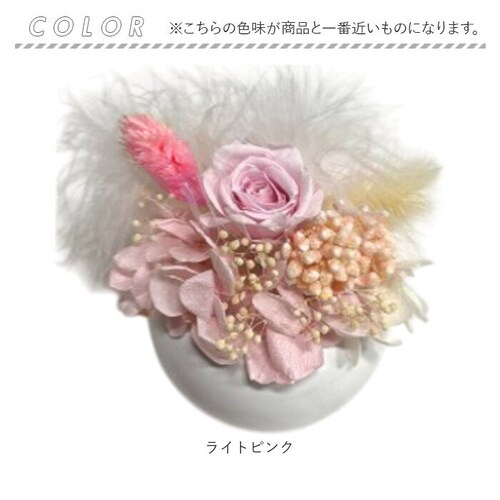 �u���U�[�h�t����- �ʔ� �t�����[�A�����W�����g �t�����[�M�t�g ���� �� ���킢�� ������� �����j�� �V�z�j�� ���� ���r���O ���ʏ� �g�C�� �t�����[ ���z���j�� �ސE �ސE�j�� �C���e���A_7