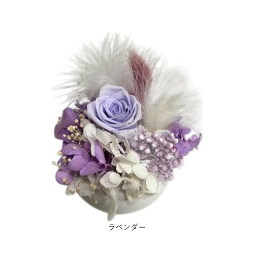 �u���U�[�h�t����- �ʔ� �t�����[�A�����W�����g �t�����[�M�t�g ���� �� ���킢�� ������� �����j�� �V�z�j�� ���� ���r���O ���ʏ� �g�C�� �t�����[ ���z���j�� �ސE �ސE�j�� �C���e���A_9