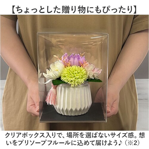 �v���U�[�u�h�t�����[ ���� ������ �ʔ� �v���U�[�h�t�����[���d �u���U�[�h�t�����[ ���d�p �u���U�[�u�h�t�����[ �t�����[�A�����W�����g ���~�G�[�� �f�� �N�[�� �������� �Ԃ肴�[�Ԃǂӂ��[ ��_5