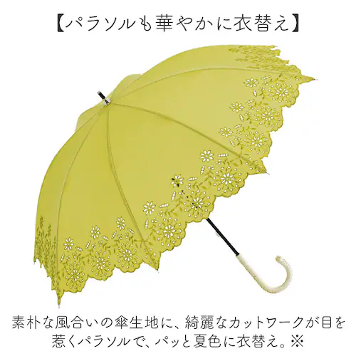 �r�R�[�Y ���P ���P �ʔ� because �P B-943580 ���f�B�[�X ������� UV�J�b�g 90%�ȏ� ��J�� �蓮 ���O���΍� �J�b�g���[�N���[�X �ʋ� �ʊw ���킢�� �I�V���� ���[�X ��_2