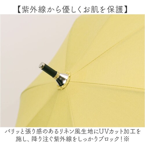 �r�R�[�Y ���P ���P �ʔ� because �P B-943580 ���f�B�[�X ������� UV�J�b�g 90%�ȏ� ��J�� �蓮 ���O���΍� �J�b�g���[�N���[�X �ʋ� �ʊw ���킢�� �I�V���� ���[�X ��_3