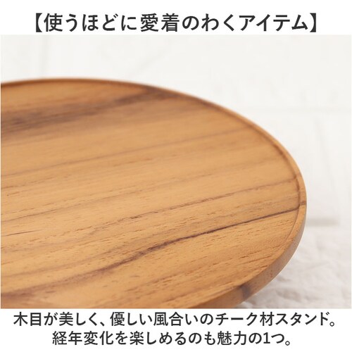 �R���|�[�g �M �ؐ� �ʔ� 13cm �؎M �A�N�Z�T���[�g���C �f�B�X�v���C�g���C �P�[�L�v���[�g �~�j�P�[�L�X�^���h �P�[�L�g���[ �P�[�L �X�^���h ���� ���M �����g���[ �����g���C �v���[�g _5