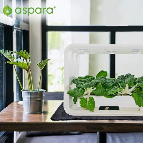 ���k�͔|�L�b�g �ʔ� ���k�͔| ��؍͔| �ƒ�؉� �����p���k�͔|�L�b�g ��������� �����؉� �������� �A�v���Ǘ� ��؈琬 �A���琬 �R���p�N�g�݌v �X�^�C�b���V�� �~�j�`���A�K�[�f�� ������ ��_6