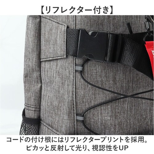 �����b�N �����Y �J�W���A�� �ʔ� �����Y�����b�N �o�b�N�p�b�N �����b�N�T�b�N ��e�� ���@�\ �ʋ� �ʊw �r�W�l�X ���f�B�[�X ��l �X�P�[�g�{�[�h ������� �h�� �A�E�g�h�A �L�����v ���s �o_11