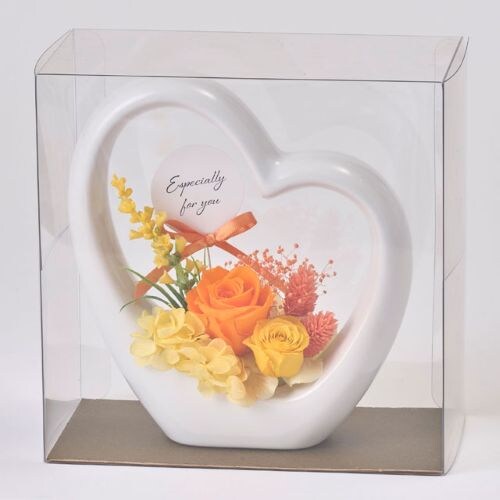 �v���U�[�u�h�t�����[�@��̓����@�Q�F��肨�I�щ�����_2