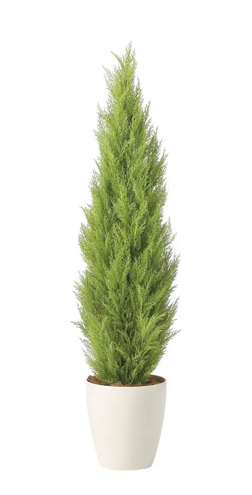 �l�H�ϗt�A���@���G�}�S�[���h�N���X�g1.35��_1