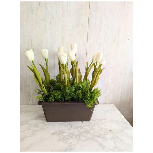 ���ԁ@�`���[���b�v�v�����^�[�@�S�F��肨�I�щ������@�t�̉��o�@�C�x���g���@�I�t�B�X�Ɂ@�y2�ȏエ�����グ���������z_2