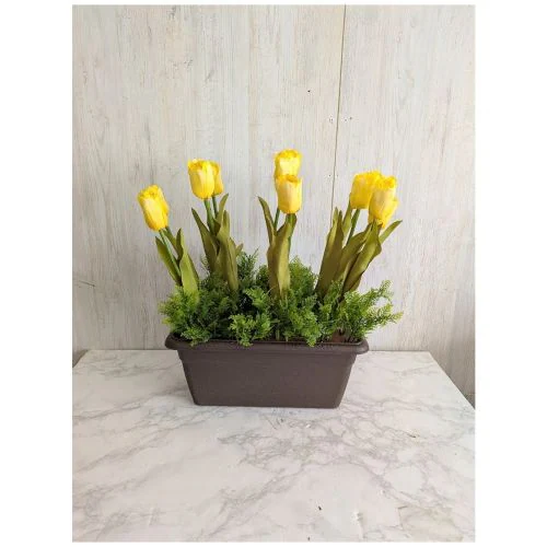 ���ԁ@�`���[���b�v�v�����^�[�@�S�F��肨�I�щ������@�t�̉��o�@�C�x���g���@�I�t�B�X�Ɂ@�y2�ȏエ�����グ���������z_4