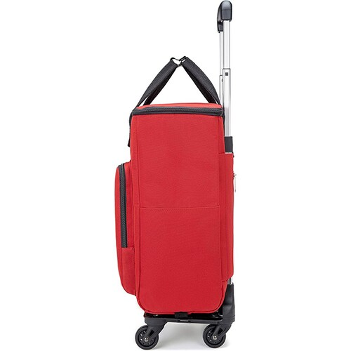 �m�_�˃��x�����n �V���b�s���O�L�����[ ������ 4�� �y�� �V���b�s���O�J�[�g �ۉ��ۗ� �g�ݗ��čς� 905 (���b�h)_3