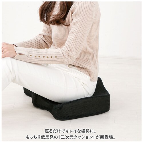 クッション 低反発 通販 もっちり低反発 三次元クッション 椅子クッション イス いす チェアクッション 座布団 車 運転 デスクワーク オフィス 父の日 母の日 敬老の日 ギフト おしゃれ NRY-_1