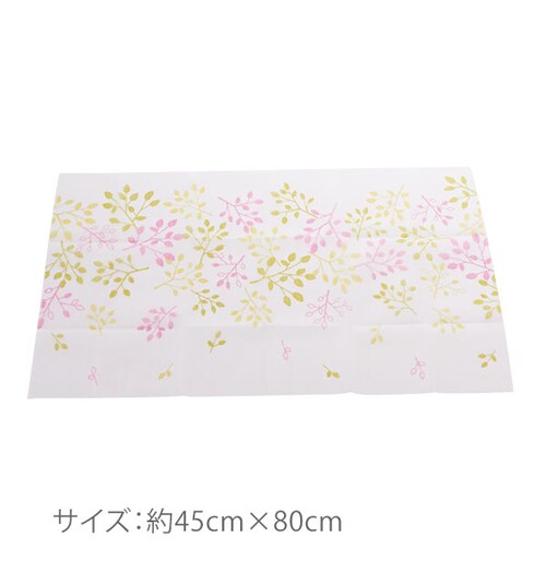 ���L�G�A�R���t�B���^�[ 2���g COGIT �R�W�b�g �ʔ� ���L���H ������� ���Ƃ� ���� ���[�t �z�R���h�~ ���K��� ��45cm ��80cm ����\ �z�R���΍� �������ȒP �G�A�R���|�� ��_3