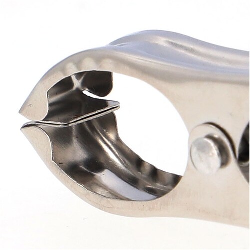 ����΂��� ����Ȃ� �ʔ� ����o�T�~ �X�e�����X����o�T�~ ����o�T�~�s���` �X�e�����X �N���b�v �s���` ������� �� 2.5cm �������Ɨp ������ �~�j ���� ����p�i �����h���[�p�i �����G_10