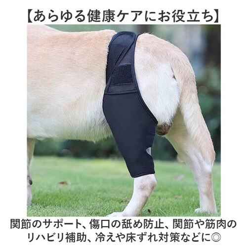 犬 サポーター 通販 前足 後ろ足 左右 兼用 小型犬 中型犬 大型犬 関節保護 肘 関節プロテクター 傷舐め防止 老犬介護 ペット用 シニア 介護 介護用品 ドッグ 肘当て ペット 老犬 老齢犬 ケ_2