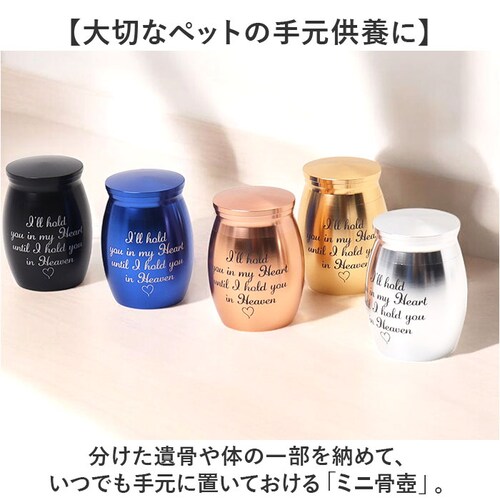 ���� �~�j �ʔ� �~�j���� 4cm 3cm ���� ������ �y�b�g �����P�[�X �⍜�J�v�Z�� �⍜���� �茳���{ ���� ��i �`�� �y�b�g�p���� �y�b�g���� �y�b�g���{ ������ ������� �v���o ���{_1