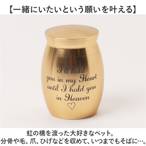 ���� �~�j �ʔ� �~�j���� 4cm 3cm ���� ������ �y�b�g �����P�[�X �⍜�J�v�Z�� �⍜���� �茳���{ ���� ��i �`�� �y�b�g�p���� �y�b�g���� �y�b�g���{ ������ ������� �v���o ���{_2