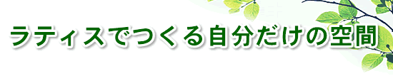eBXł鎩̋