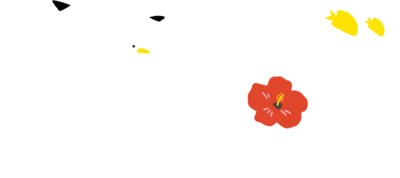 �g