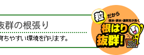 �c���\���Ŕ��Q�̍�����