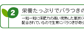 �h�{�����Ղ�Ńo�����̂Ȃ�����
