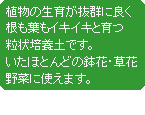 �S�[���f������|�{�y