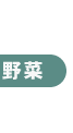 ��ؗp