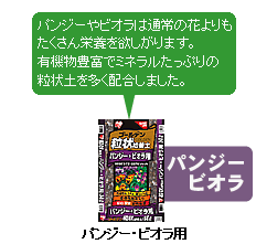 �p���W�[�E�r�I���p