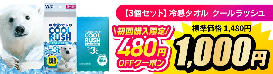 �y3�Z�b�g�z�⊴�^�I�� �N�[�����b�V�� ����w������480�~OFF�N�[�|��