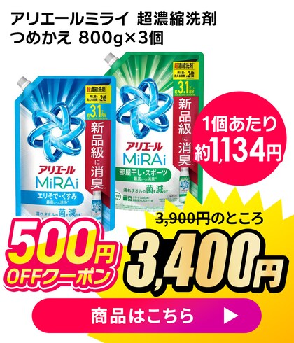 �A���G�[���~���C 800g