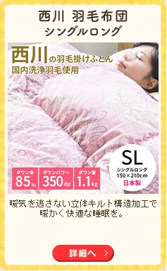 ���� �H�ѕz�c SDD85% 1.1kg �V���O�������O