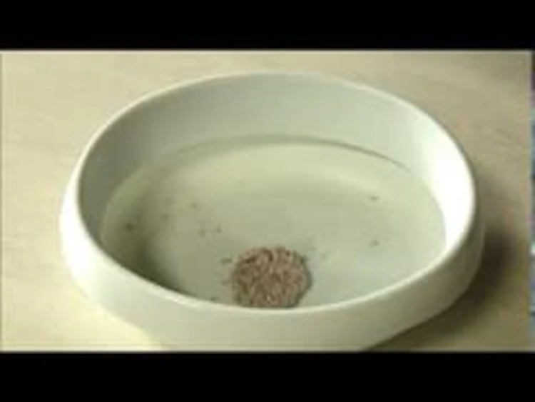 【3袋セット】 上から猫トイレ用 猫砂 7L UNS-7L　9