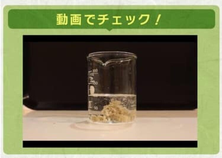【5袋セット】 お茶の猫砂 7L OCN-70 4