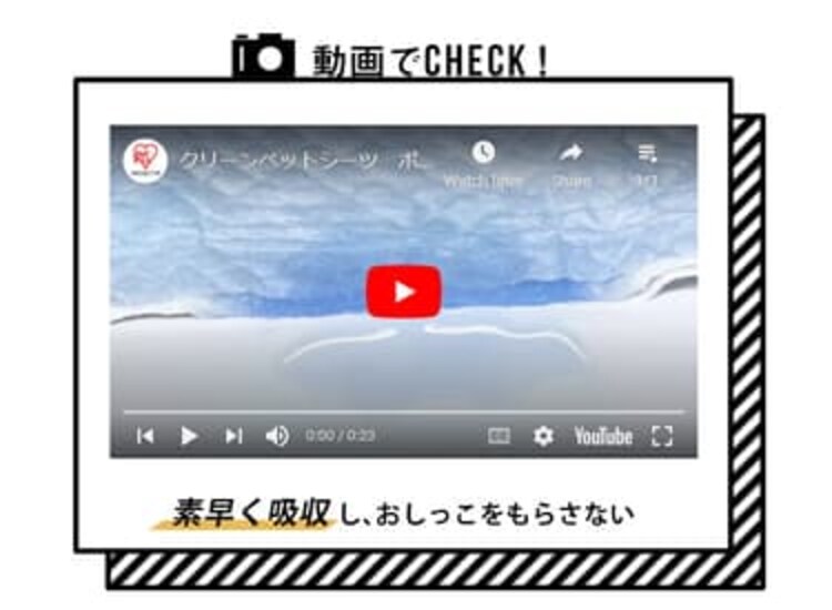 【232枚】 超厚型 超吸収ペットシーツ  レギュラー 116枚&times;2袋10