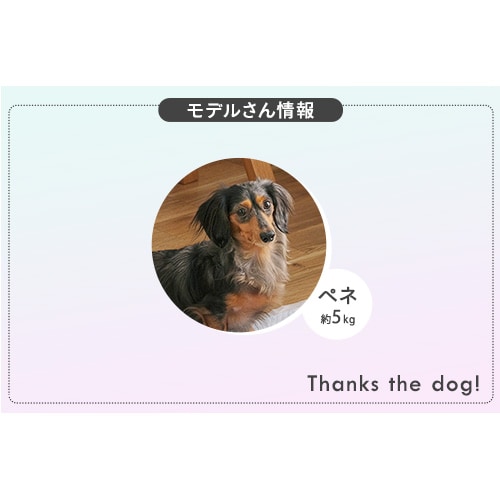 ペットシーツ用文鎮 ダークグレー 犬 トイレ シーツ文鎮 105076