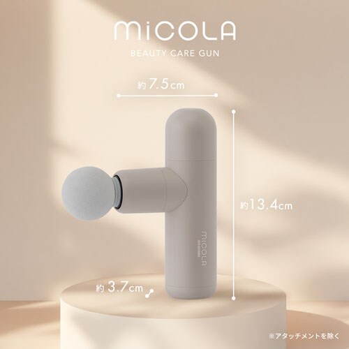 MiCOLA r[eB[PAK FRT-M01-A u[_19